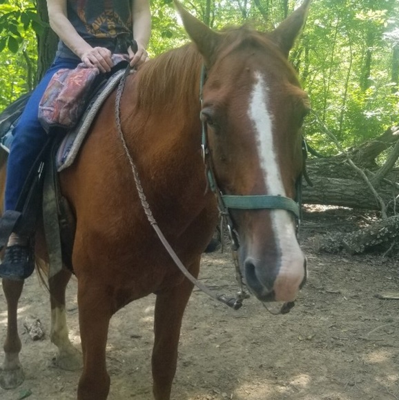 Meet your Posher, Mo - Picture 1 of 1